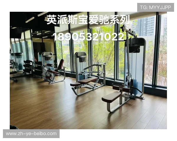 英派斯室内健身器材的优势与使用心得 英派斯室内健身器材的优势与使用心得